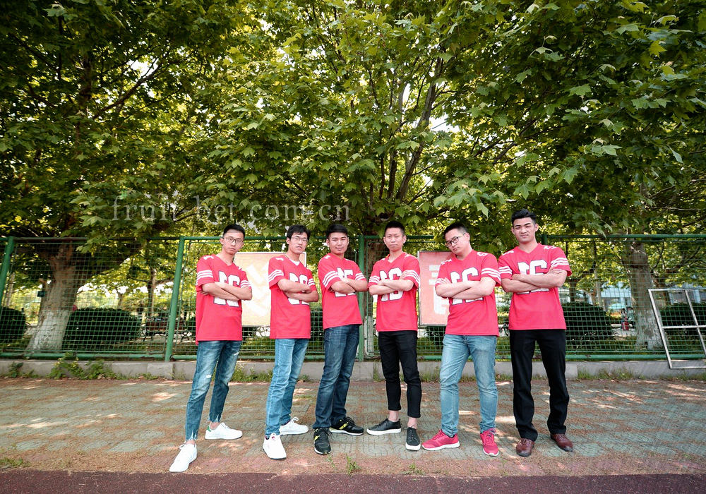 果粒造型的文件夹与标签图标分层排列，展示收藏条目的分组结构